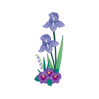 Drawing Wedding Drawing Wedding