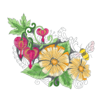 Drawing Wedding Drawing Wedding