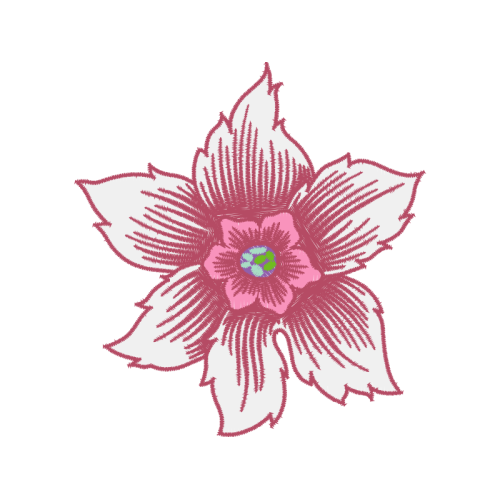 Drawing Wedding Drawing Wedding