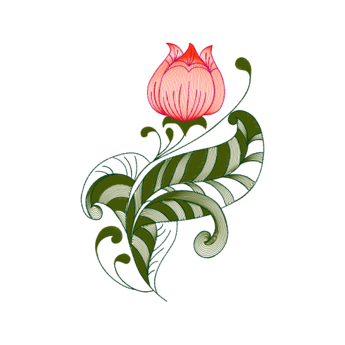 Drawing Wedding Drawing Wedding