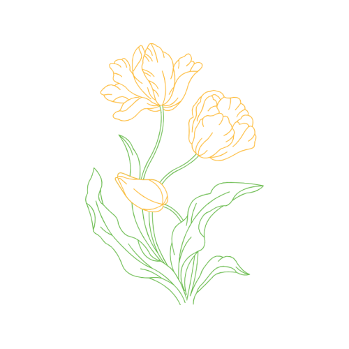 Drawing Wedding Drawing Wedding