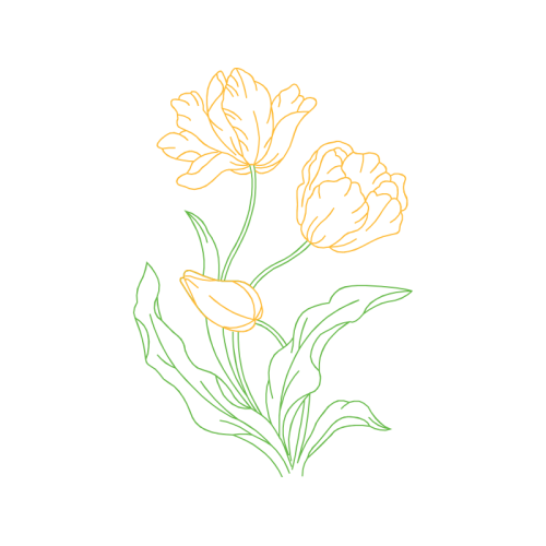 Drawing Wedding Drawing Wedding