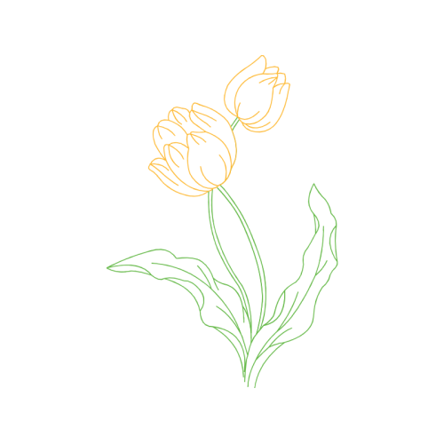 Drawing Wedding Drawing Wedding