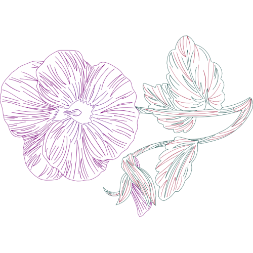 Drawing Wedding Drawing Wedding