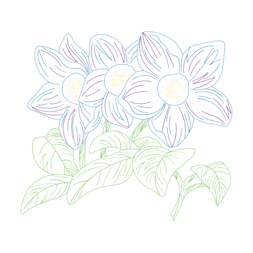 Drawing Wedding Drawing Wedding