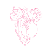 Drawing Wedding Drawing Wedding