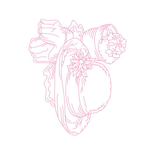 Drawing Wedding Drawing Wedding