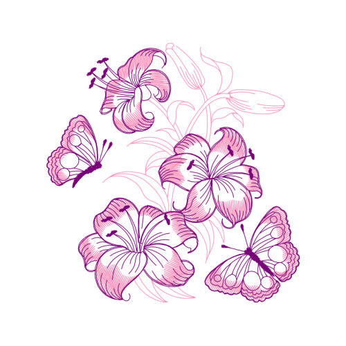 Drawing Wedding Drawing Wedding