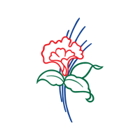 Drawing Wedding Drawing Wedding