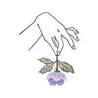 Drawing Wedding Drawing Wedding