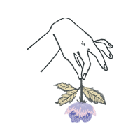 Drawing Wedding Drawing Wedding