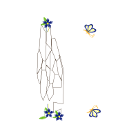 Drawing Wedding Drawing Wedding