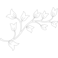 Drawing Wedding Drawing Wedding