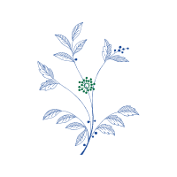 Drawing Wedding Drawing Wedding