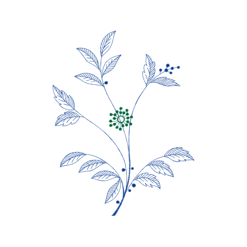 Drawing Wedding Drawing Wedding