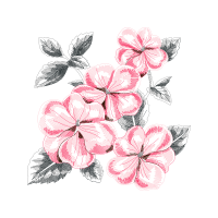 Drawing Wedding Drawing Wedding