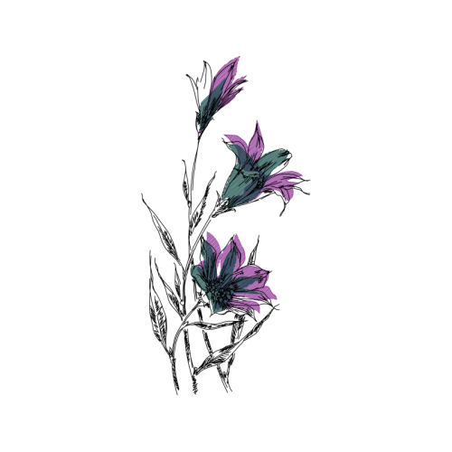 Drawing Wedding Drawing Wedding