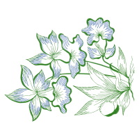 Drawing Wedding Drawing Wedding