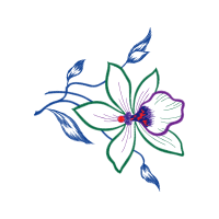 Drawing Wedding Drawing Wedding