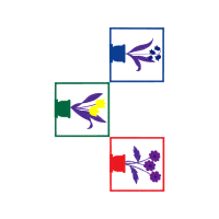 Drawing Wedding Drawing Wedding