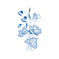 Drawing Wedding Drawing Wedding