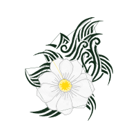 Drawing Wedding Drawing Wedding