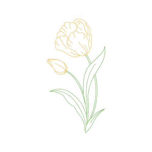 Drawing Wedding Drawing Wedding