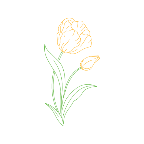 Drawing Wedding Drawing Wedding