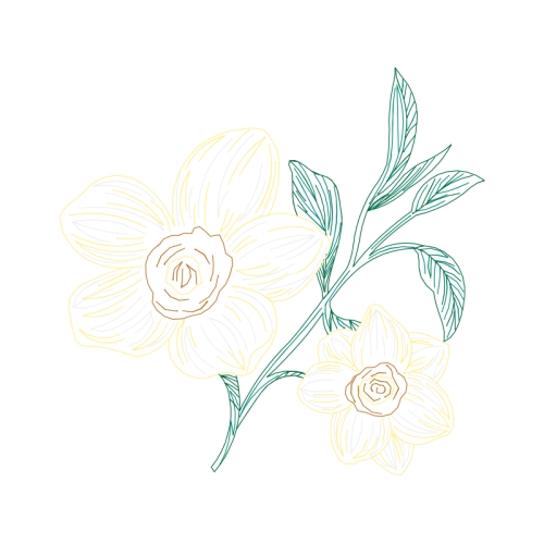 Drawing Wedding Drawing Wedding