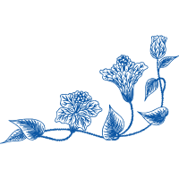 Drawing Wedding Drawing Wedding