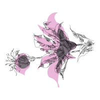 Drawing Wedding Drawing Wedding