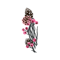 Drawing Wedding Drawing Wedding