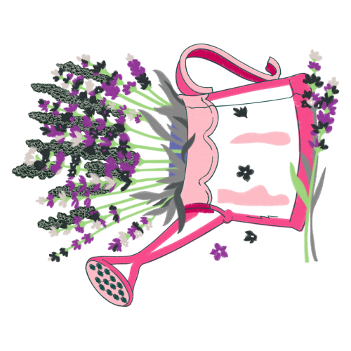 Drawing Wedding Drawing Wedding