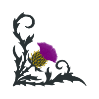 Drawing Wedding Drawing Wedding