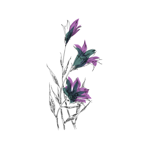 Drawing Wedding Drawing Wedding