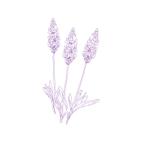 Drawing Wedding Drawing Wedding