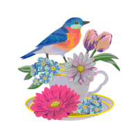 Eastern Bluebird Wedding Eastern Bluebird Wedding