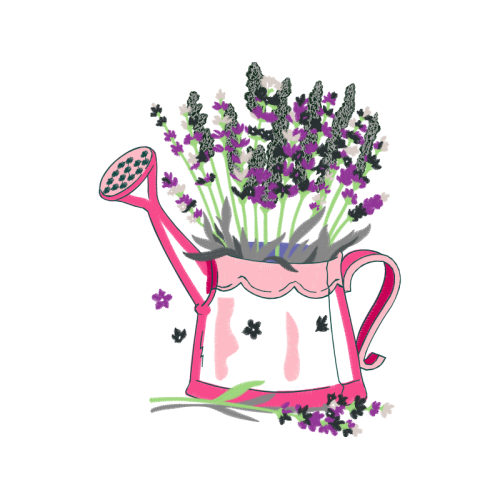 English Lavender Wedding English Lavender Wedding