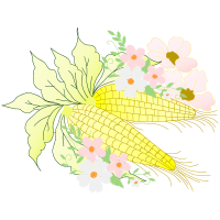 Epidendrum Wedding Epidendrum Wedding