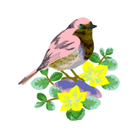 European Robin Wedding