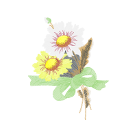 Evergreen Rose Wedding