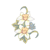 Evergreen Rose Wedding