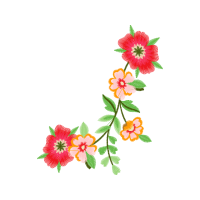 Evergreen Rose Wedding Evergreen Rose Wedding