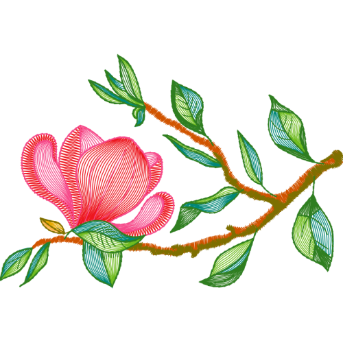 Evergreen Rose Wedding Evergreen Rose Wedding