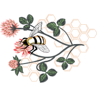 Evergreen Rose Wedding Evergreen Rose Wedding