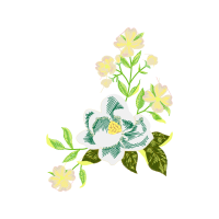 Evergreen Rose Wedding Evergreen Rose Wedding