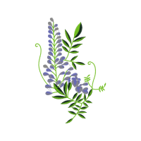 Fernleaf Lavender Wedding