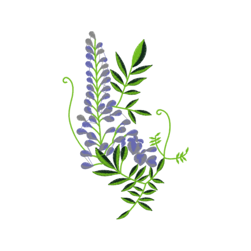 Fernleaf Lavender Wedding Fernleaf Lavender Wedding