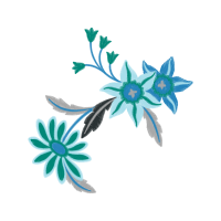 Flannel Flower Wedding Flannel Flower Wedding