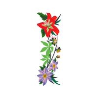 Flannel Flower Wedding